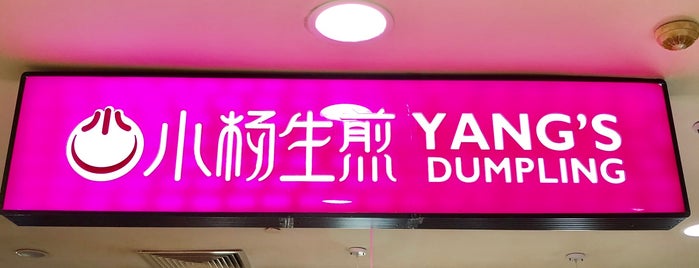 Yang's Dumpling is one of Food/Drink.
