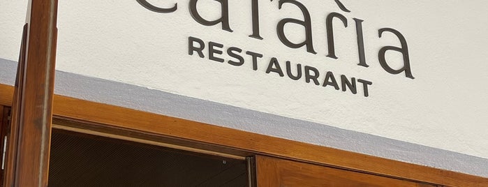 Cataria is one of Restaurantes pendientes.
