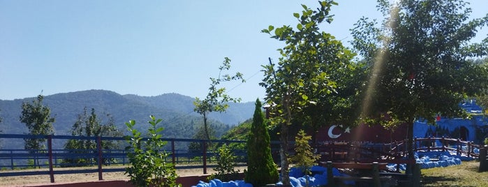 Arsin At Çiftliği is one of Trabzon.