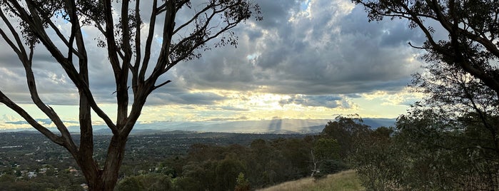 Mt Rogers is one of Canberra's Outdoor Running, Walking, Riding Trails.