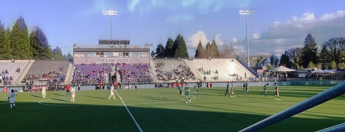 Merlo Field is one of #100inPDX.