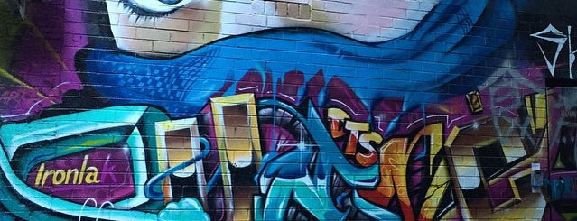 Croft Alley is one of Melbourne Laneways, Alleys, and Arcades.