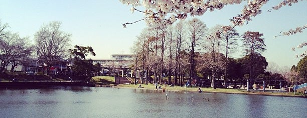 Mizumoto Park is one of 江戸川CR.