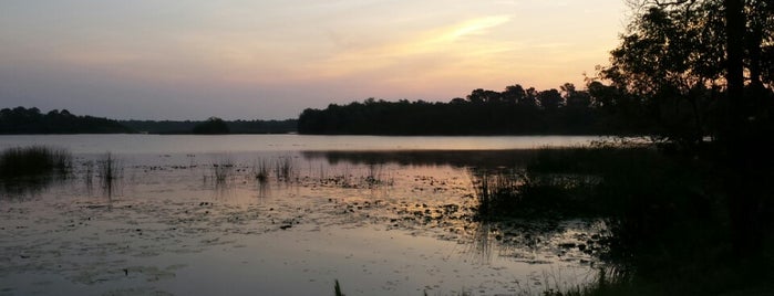 Fox Lake Park is one of Lugares favoritos de Kris.