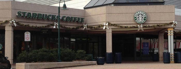 Starbucks is one of สถานที่ที่ Michael ถูกใจ.