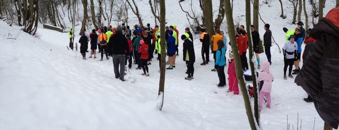 Conkers parkrun is one of parkrun events.