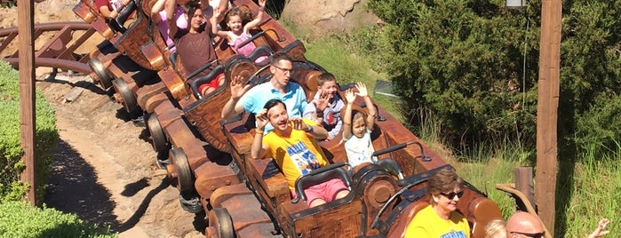 Seven Dwarfs Mine Train is one of Andrew’s Liked Places.