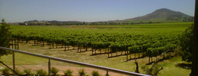 Slaley Wine Farm is one of Cape Wine Farms.