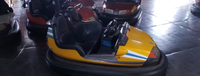 Dodgem/ Bumper Cars is one of kings island.