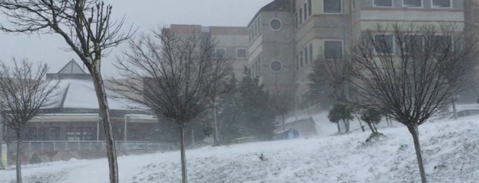 KOÜ Bitki Moleküler Biyoloji Laboratuvarı is one of Kocaeli Üniversitesi KOÜ Mekanları.