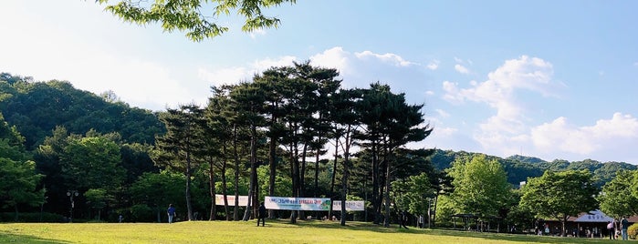 Yuldong Park is one of Korea.