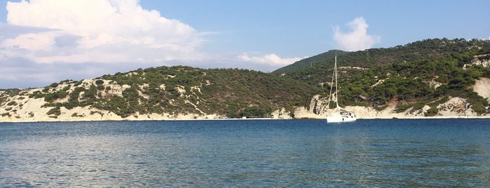 Sazlıca Koyu is one of Foça plajlar.