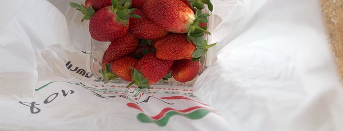 Yosef Strawberry Farm is one of Tempat yang Disukai Shachar.