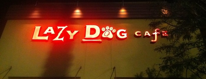 Lazy Dog Restaurant & Bar is one of Orange County.