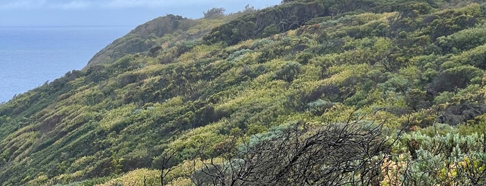 Cape Schanck Lighthouse Reserve is one of Visit Victoria.