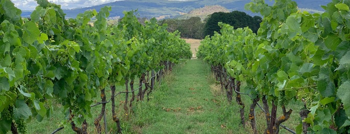 Hanging Rock Winery is one of Lugares favoritos de Dave.