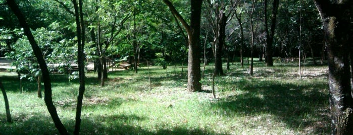 Parque Olhos D'Água is one of Lazer em Brasília.