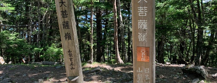 大菩薩 三等三角点 is one of 東日本の山-秩父山地.