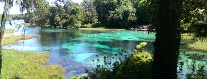 Rainbow Spring State Park is one of FL with CD.