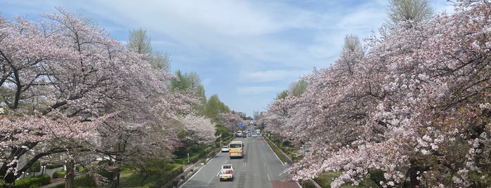 国立 大学通り 歩道橋 is one of 東京散歩.