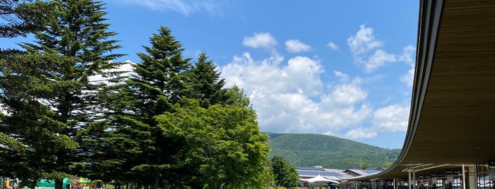 Karuizawa Prince Shopping Plaza is one of Top picks for Malls.