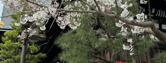 Honno-ji Temple is one of 麒麟がくる ゆかりのスポット.