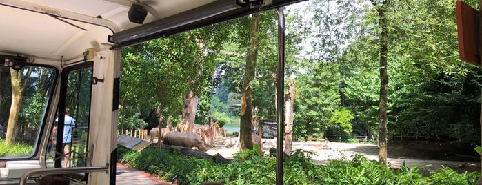 Rhinoceros Enclosure is one of Lugares favoritos de Ben.