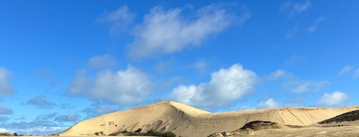 Te Paki Sand Dunes is one of Tempat yang Disukai Nieko.
