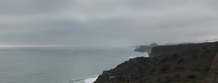San Onofre - San Mateo Campground is one of Michael 님이 좋아한 장소.