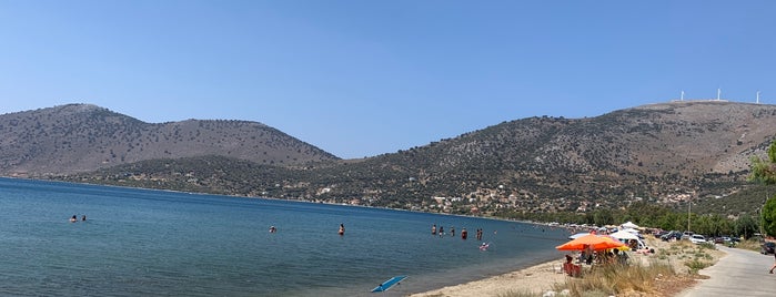 Almyropotamos Beach is one of evia.
