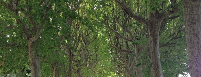 Parque Dr. Manuel Braga is one of Lugares guardados de Americo.