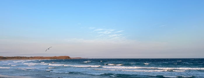 Phillip Island Nature Park is one of Melbourne 🦘.