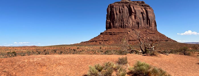 The Monument Valley is one of MURICA Road Trip.