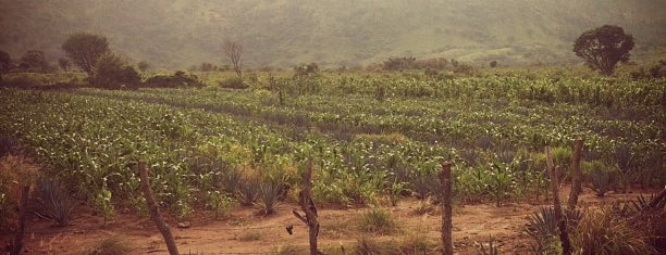 Amatitán is one of Lugares favoritos de Michi.