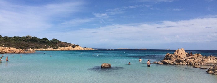 Spiaggia Del Principe is one of สถานที่ที่บันทึกไว้ของ Bora.