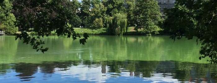 Lietzenseepark is one of Berlin with dogs.