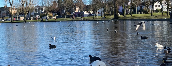 Cork Lough is one of Best of Cork.