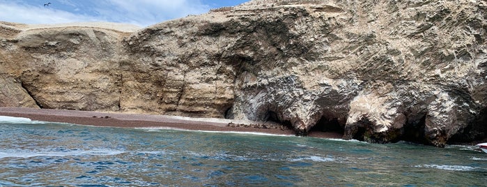 Islas Ballestas is one of Peru.