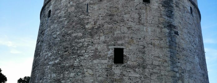 White Tower is one of สถานที่ที่ Spiridoula ถูกใจ.