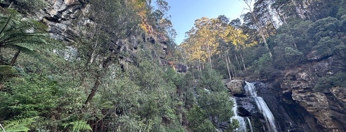 Stevensons Falls is one of Day trips.