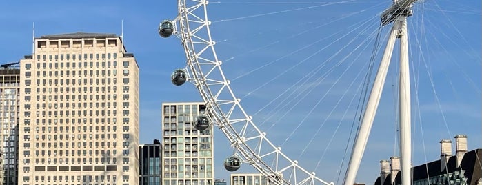 London Eye / Waterloo Pier is one of Tours, trips and views.
