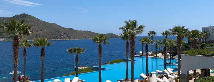 Xanadu Rosebud is one of Bodrum.