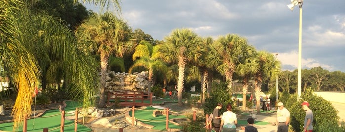 Tree Tops Golf Miniature Golf is one of Justinさんのお気に入りスポット.