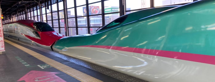 Shinkansen Platforms is one of 出張.