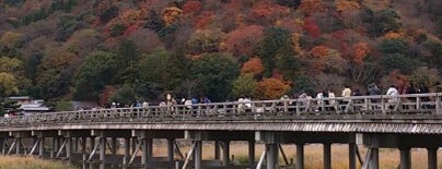 Togetsu-kyo Bridge is one of Sight seeing.