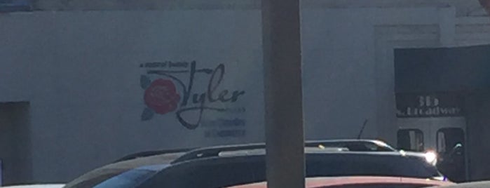 Tyler Area Chamber of Commerce is one of Tyler, TX - things to do & things to eat.