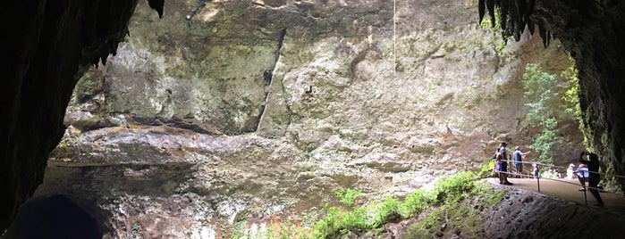 Cuevas de Camuy is one of Puerto Rico.