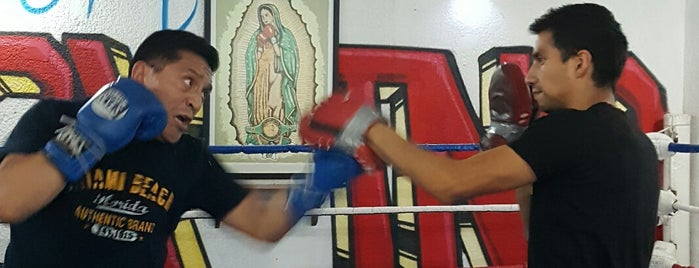 Sport boxing  GYM is one of Felipe : понравившиеся места.