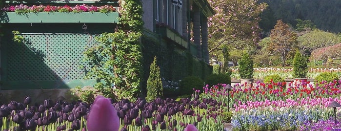 The Butchart Gardens is one of Newbie in Vancouver city.