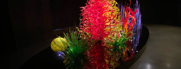 Chihuly Collection is one of A local’s guide: 48 hours in Tampa.